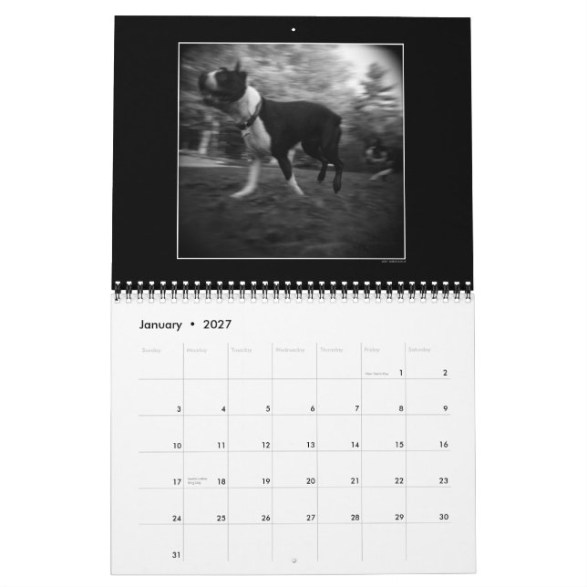 Calendário 3 do parque do cão (Jan 2027)