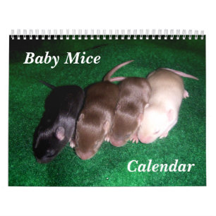 Calendário 4 ratos do bebê que crescem acima