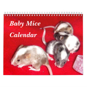 Calendário 4 Ratos Variegados Para Bebês Crescendo