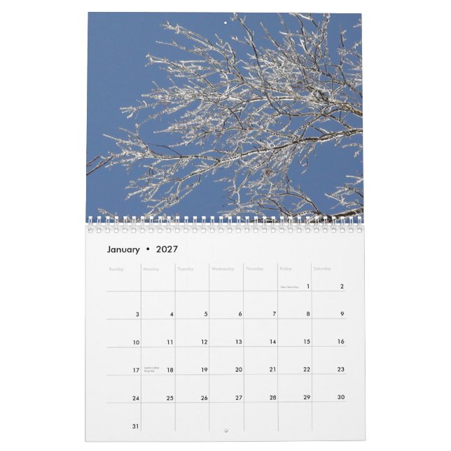 Calendário A 2010 Natural (Jan 2027)