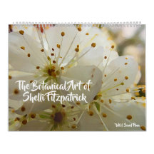 A Arte Botânica de Shelli Fitzpatrick
