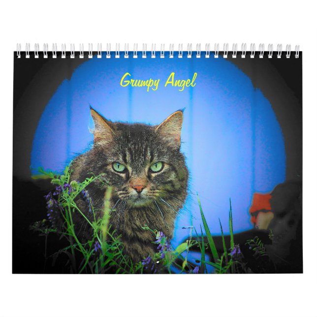 Calendário A atitude do anjo mal-humorado (Capa)