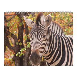 Calendário A beleza da África