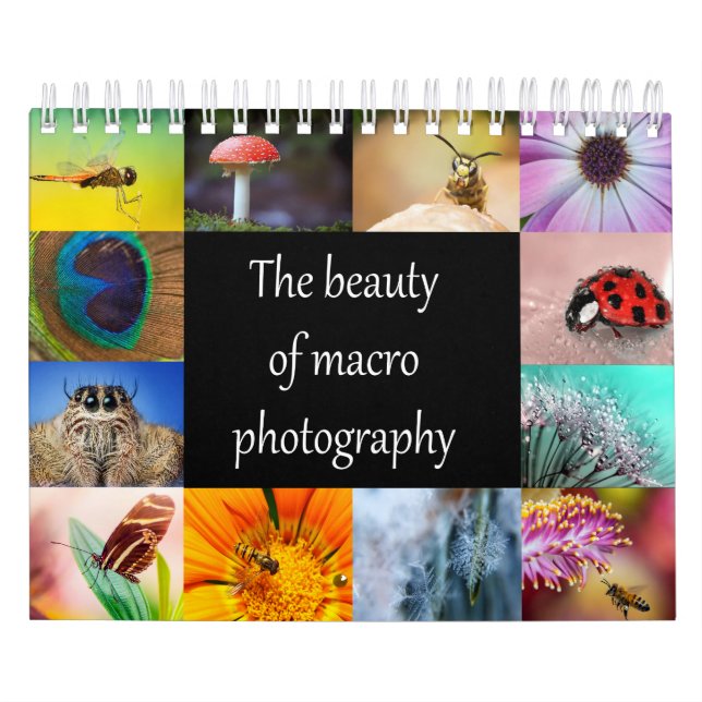 Calendário A beleza da fotografia macro (Capa)