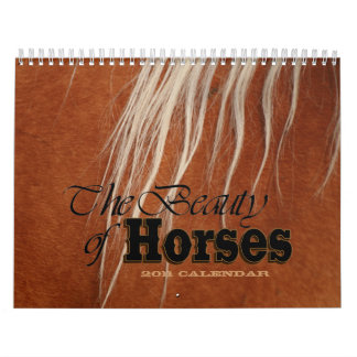 Calendário A beleza do sacudir dos cavalos 2011