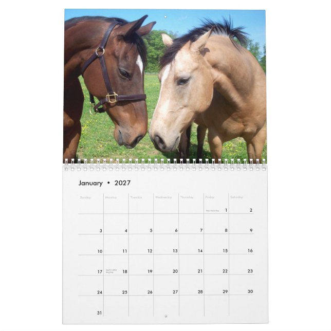 Calendário A beleza do sacudir dos cavalos 2011 (Jan 2027)
