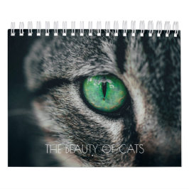 CALENDÁRIO "A BELEZA DOS GATOS"