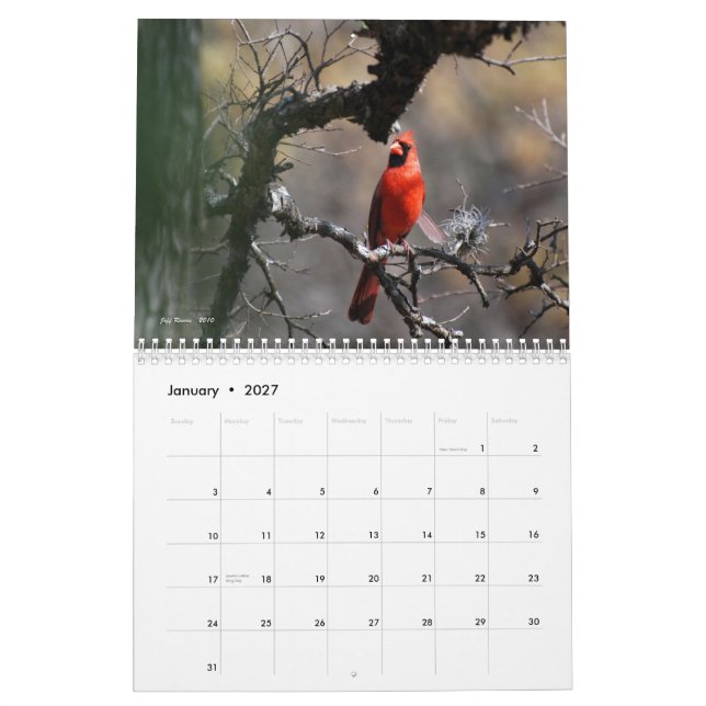 Calendário A beleza natural 2011 de Texas (Jan 2027)