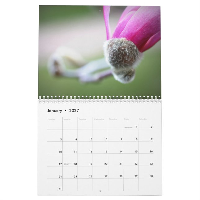 Calendário A fotografia de Morgan Gardner floresce 2013 (Jan 2027)
