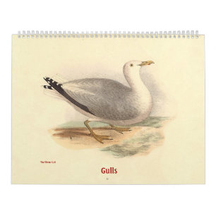 Calendário A gaivota litografa - dos pássaros de New York -