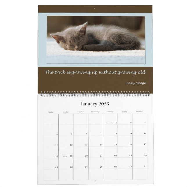 Calendário A preocupação desperdiça a sabedoria (Jan 2026)