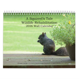 Calendário A Squirrel's Tale 2026 Wall Calendar