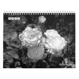 Calendário A vida como ela floresce