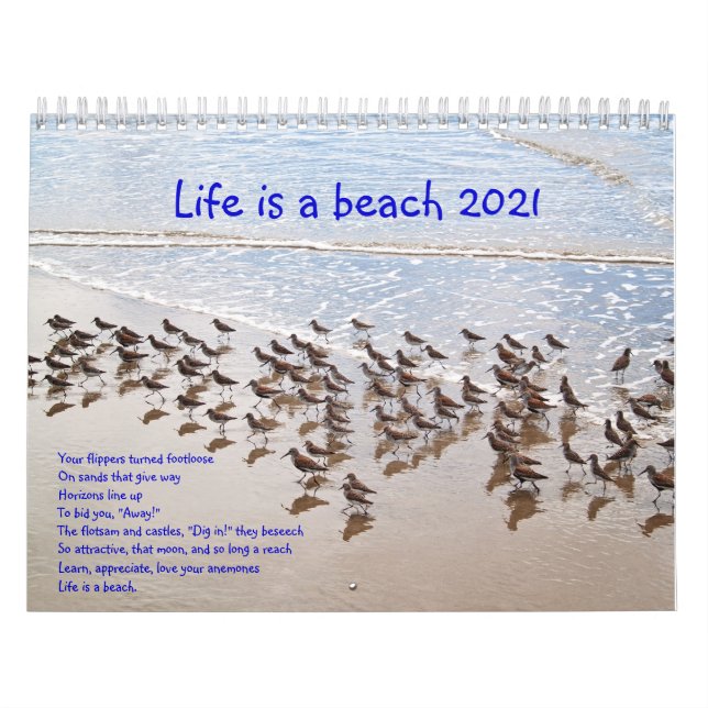 Calendário A vida é uma praia Calandar 2020 (Capa)