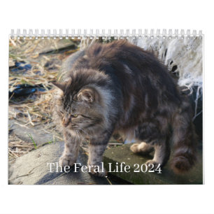 Calendário A Vida Selvagem 2024 Bela Gatos Naturais Calenda