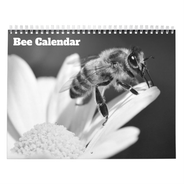 Calendário Abelha 2027 (Capa)
