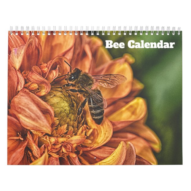 Calendário Abelha 2027 (Capa)