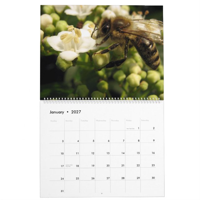 Calendário Abelhas (Jan 2027)