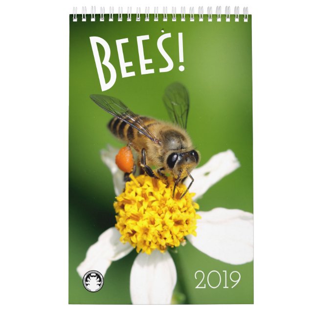 Calendário Abelhas (Capa)
