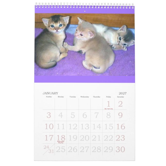 Calendário Abyssinian dos gatinhos & dos gatos (Jan 2027)