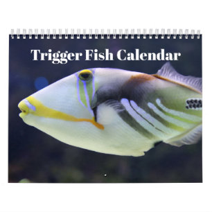 Calendário Acionador de peixes 2024