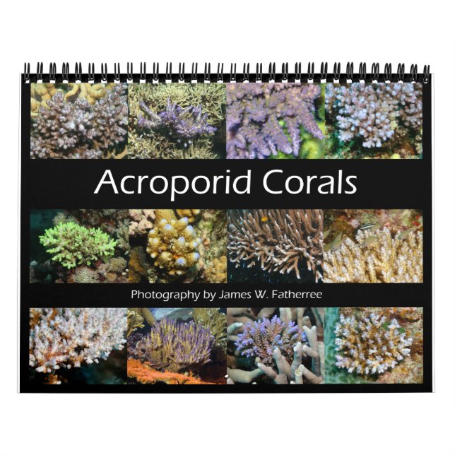 Calendário Acroporid Corals Wall Calendar por J.W. Pai. (Capa)