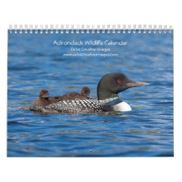 Calendário Adirondack Wildlife 2026