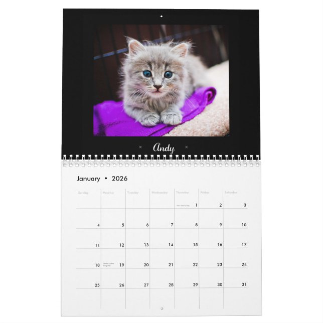 Calendário adoptivo de 2015 Felines (Jan 2026)