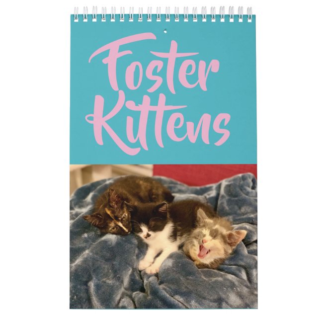 Calendário adoptivo do gatinho 2019 (Capa)