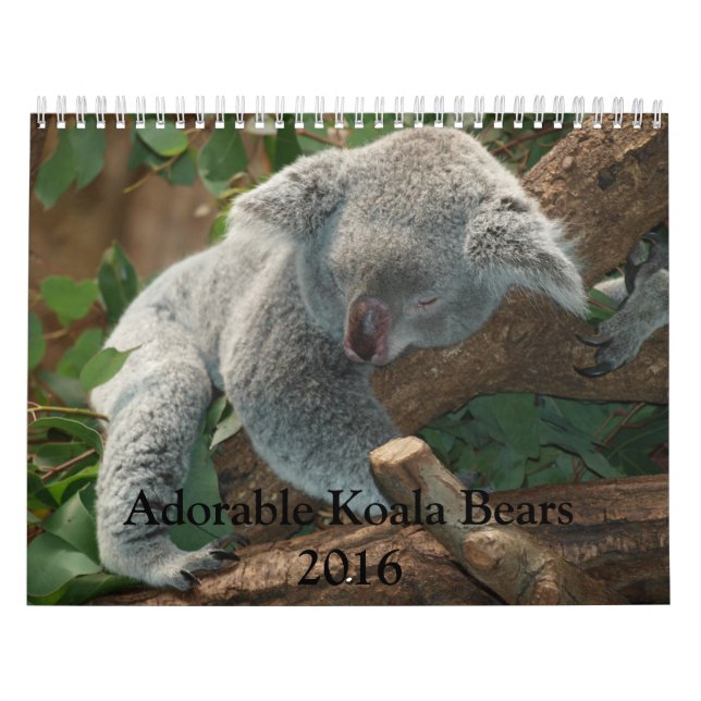 Calendário Adorable Koala Bears 2016 (Capa)