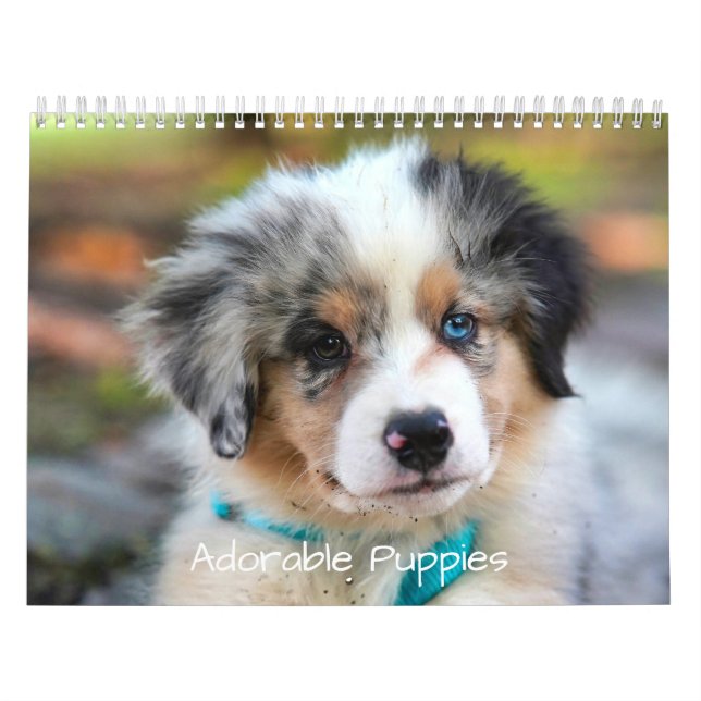 Calendário Adorable Puppies 2026 Cute Dog (Capa)
