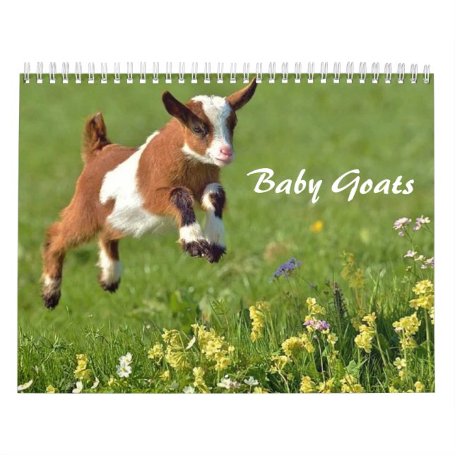Calendário Adorável de Capas de Bebê (Capa)