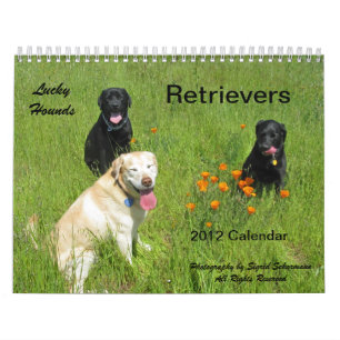 Calendário afortunado 2012 do Retriever dos cães