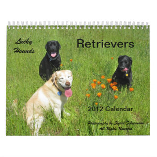 Calendário afortunado 2012 do Retriever dos cães