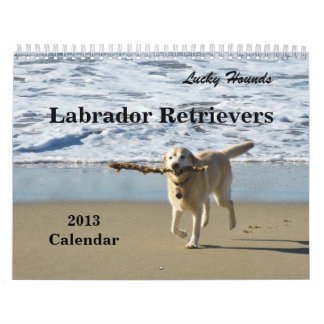 Calendário afortunado 2013 de labrador retriever