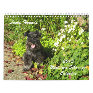 Calendário afortunado 2013 do Schnauzer diminuto