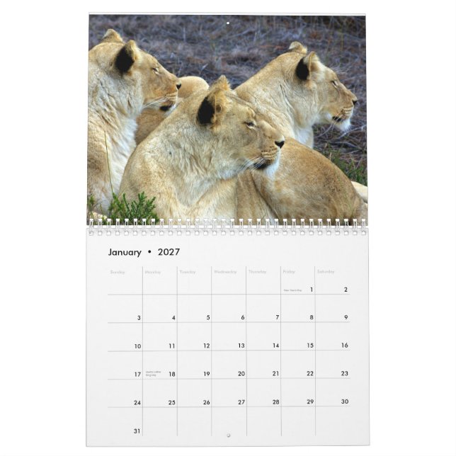 Calendário África do Sul (Jan 2027)