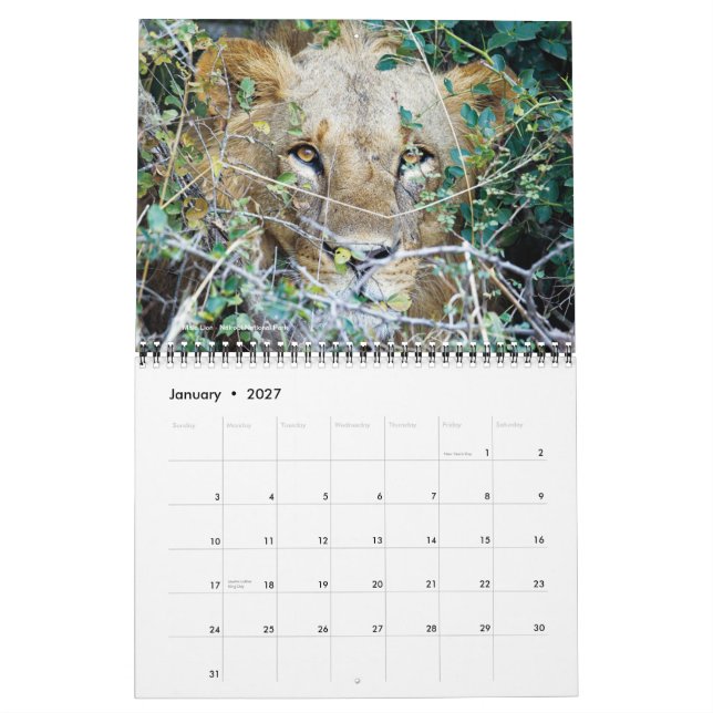 Calendário - África no safari (Jan 2027)