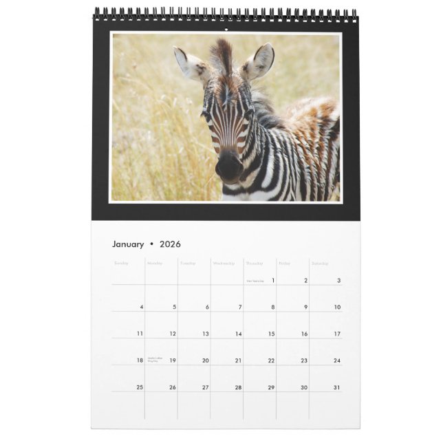 Calendário África selvagem animal 2013 (QUALQUER ANO) (Jan 2026)