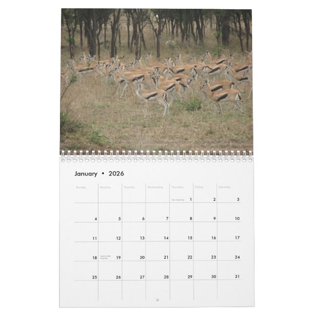 Calendário África: Tanzânia & Kenya (Jan 2026)