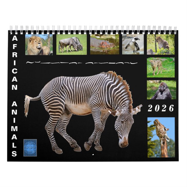 Calendário African animals 12 month calendar (Capa)