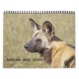 CALENDÁRIO AFRICAN WILD DOGS