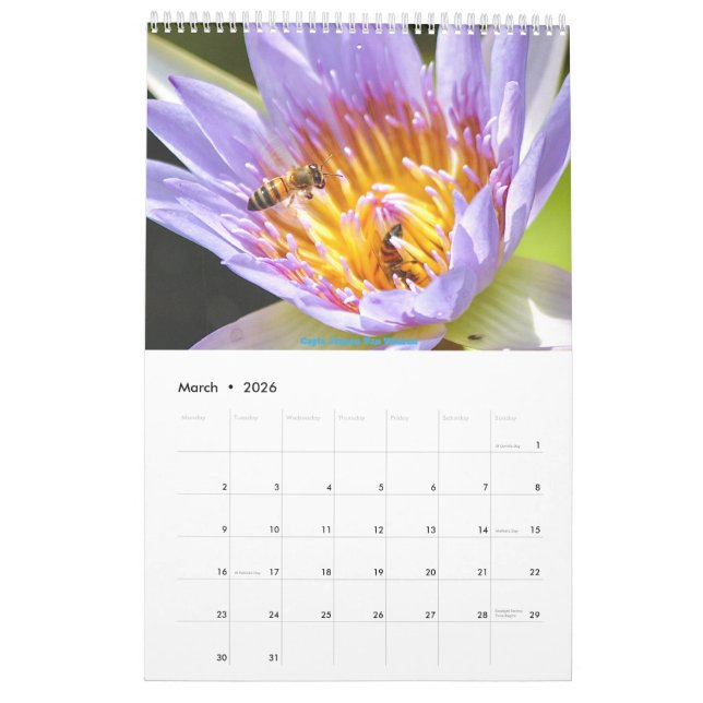 Calendário Africano da Vida Selvagem 2025 (Mar 2026)