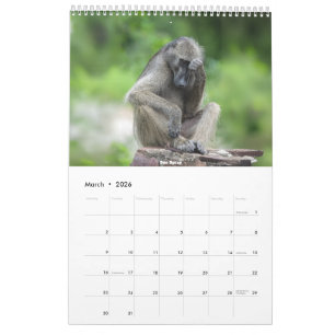 Calendário Africano da Vida Selvagem 2026
