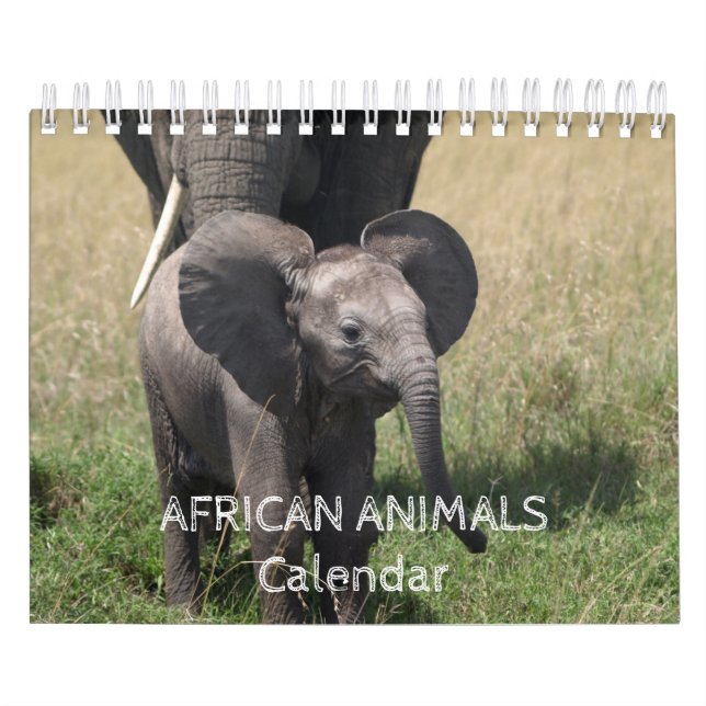 Calendário Africano de Animais (Capa)