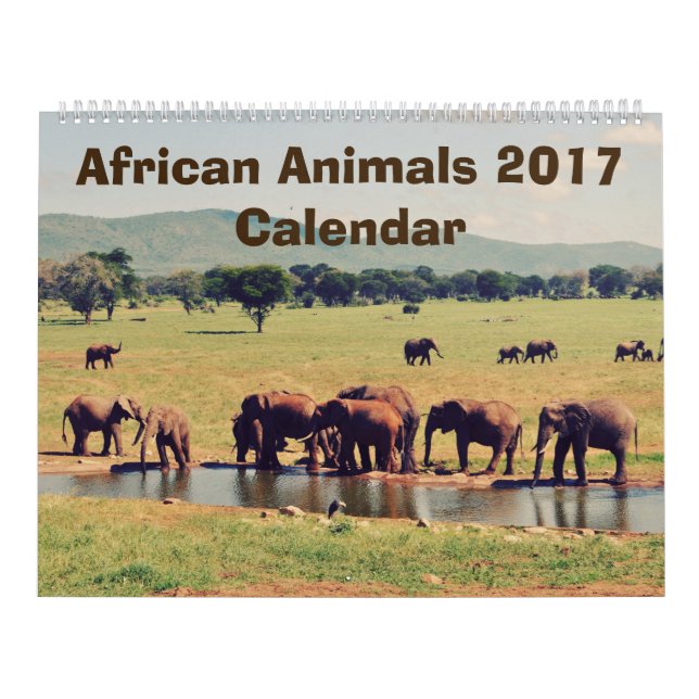 Calendário Africano de Animais (Capa)