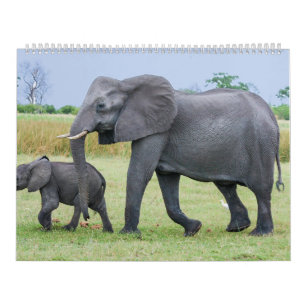 Calendário africano do safari