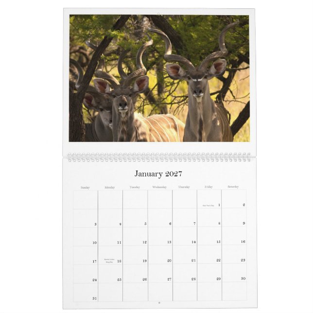 Calendário africano dos animais selvagens (Jan 2027)