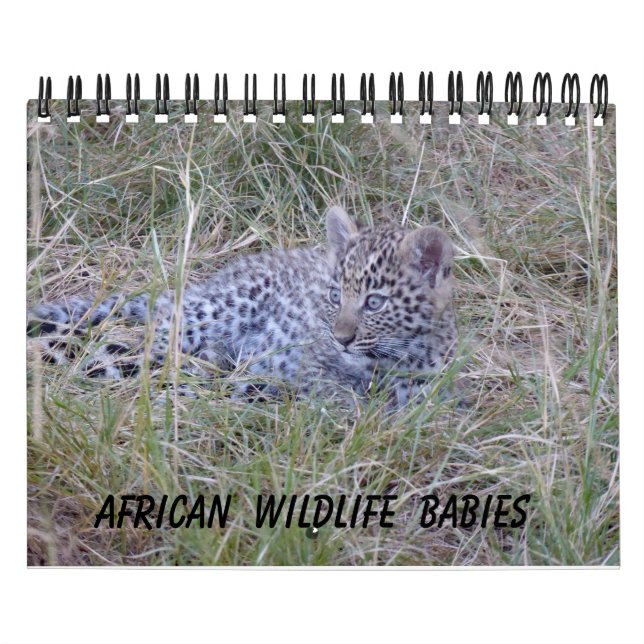 CALENDÁRIO AFRICANO DOS BEBÊS DOS ANIMAIS (Capa)