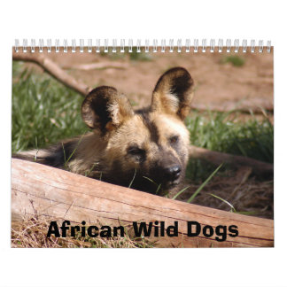 Calendário africano dos cães selvagens, cães